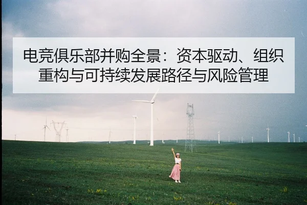 电竞俱乐部并购全景：资本驱动、组织重构与可持续发展路径与风险管理